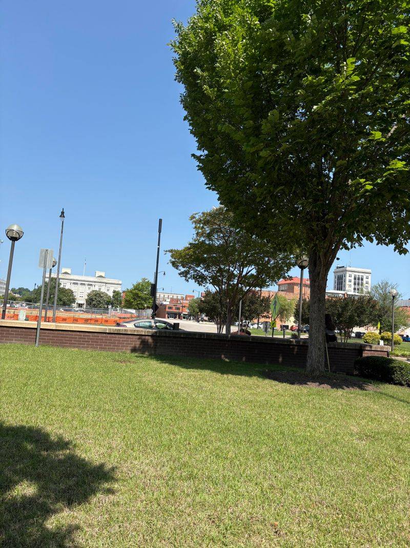 Rural Cumberland County Roads That Capture Southern Winter Stillness