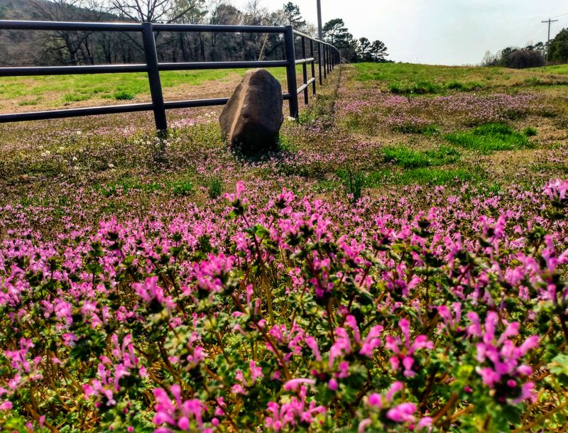 Peaceful, Family Friendly Evenings at Danville City Park Playground