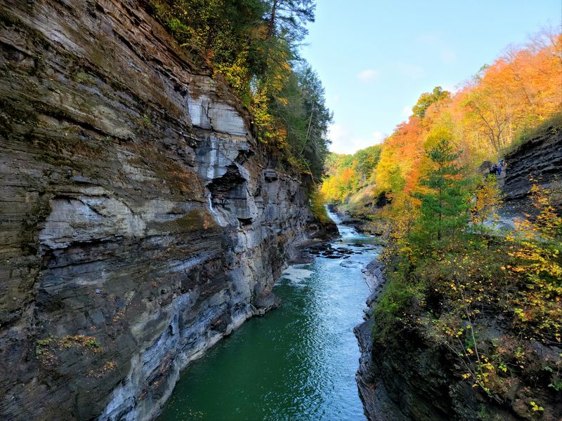 Practical Planning, Hours, and Park Updates