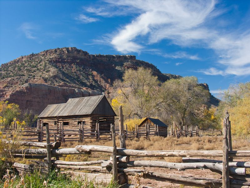 Nature’s Reclamation