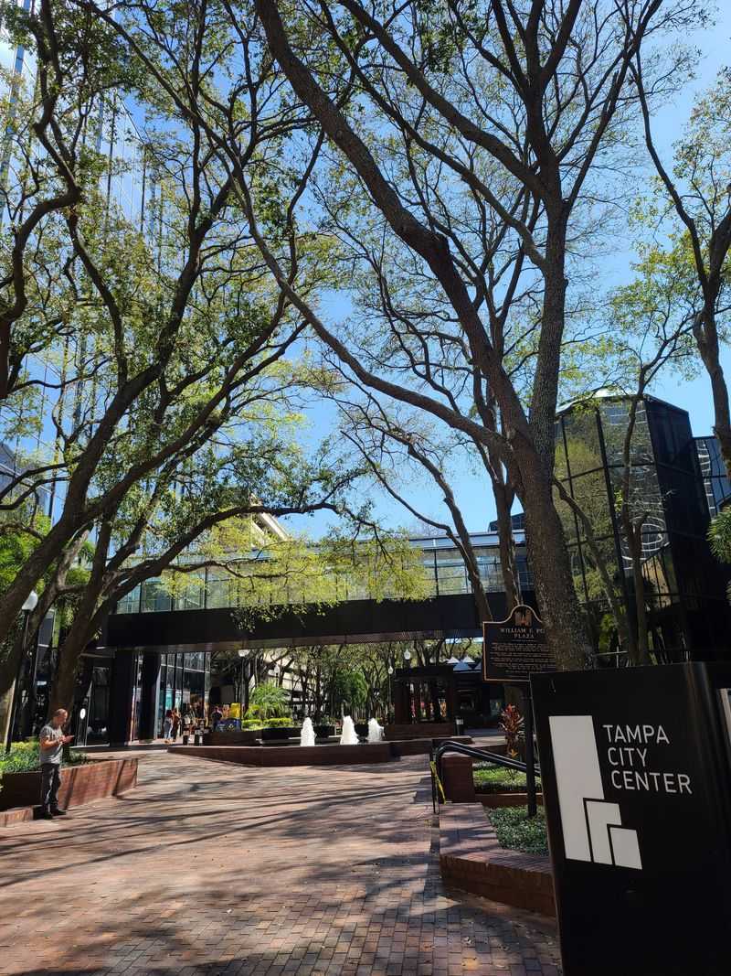 Tampa: The Emerging Urban Center