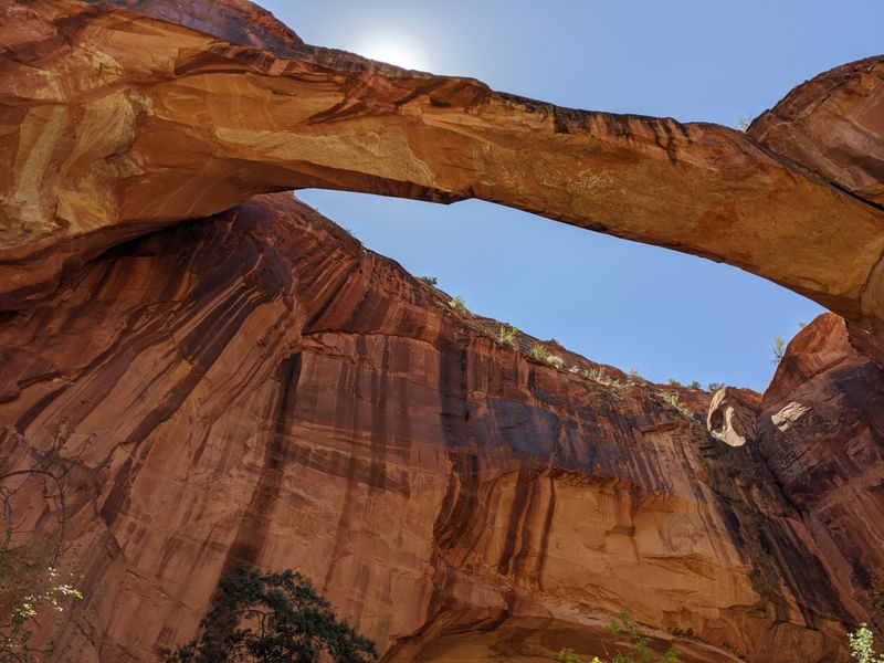 Escalante Natural Bridge Trail A Calm Walk To Stone