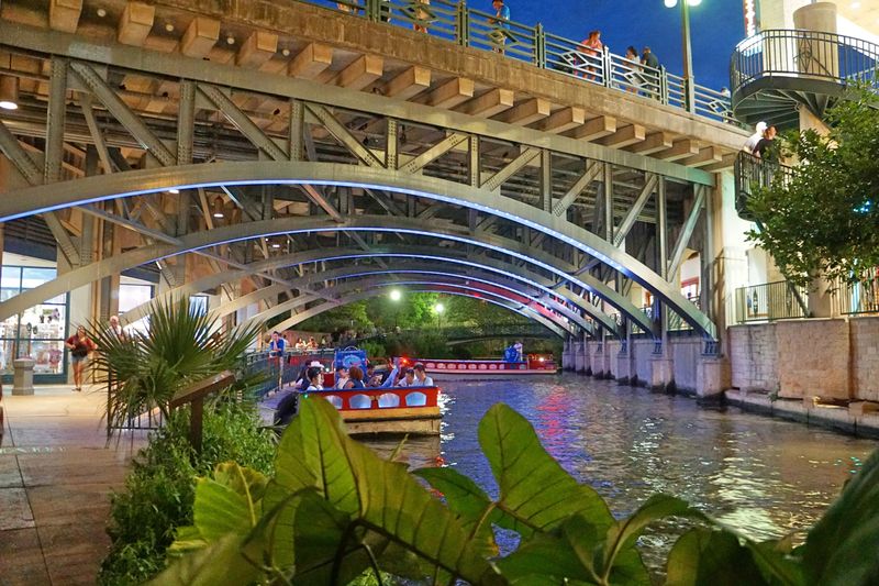 Boat Tours Under Constellations of Light