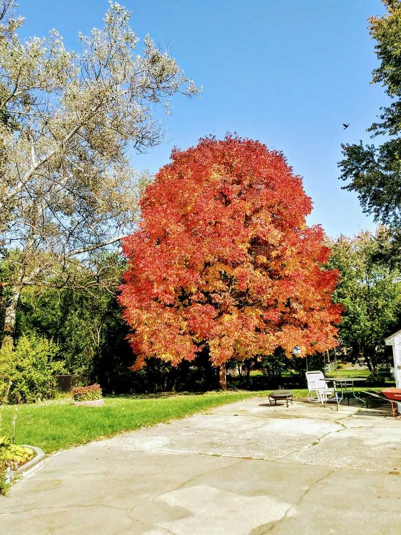 Portage: Suburban Comfort With Urban Convenience