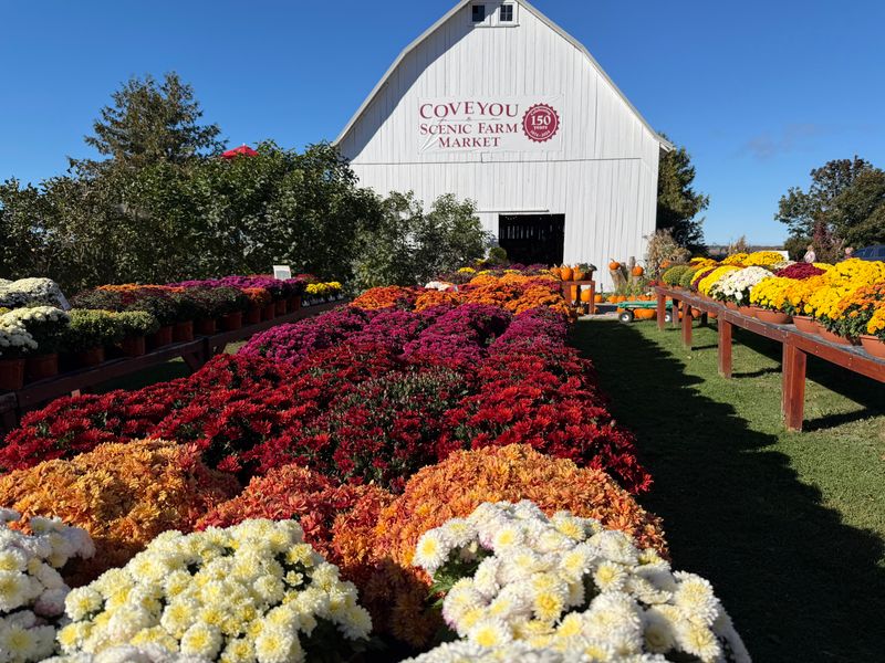 Coveyou Scenic Farm Market