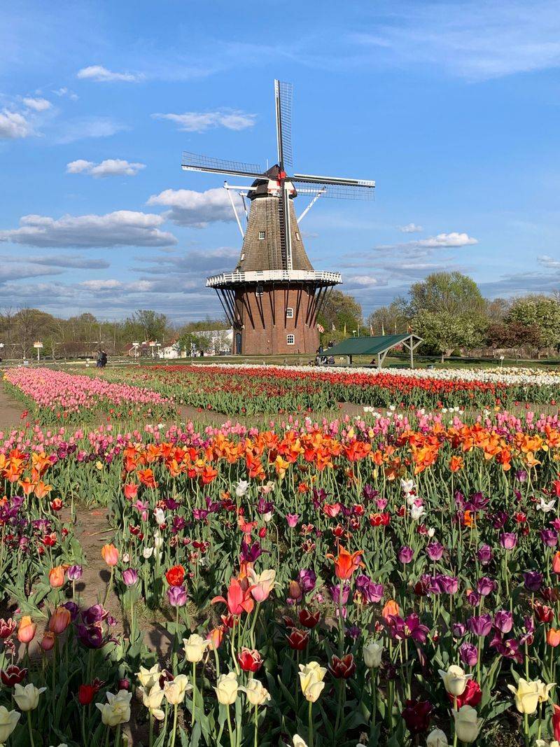 Windmill Island Gardens Offers Dutch-Inspired Sunset Settings