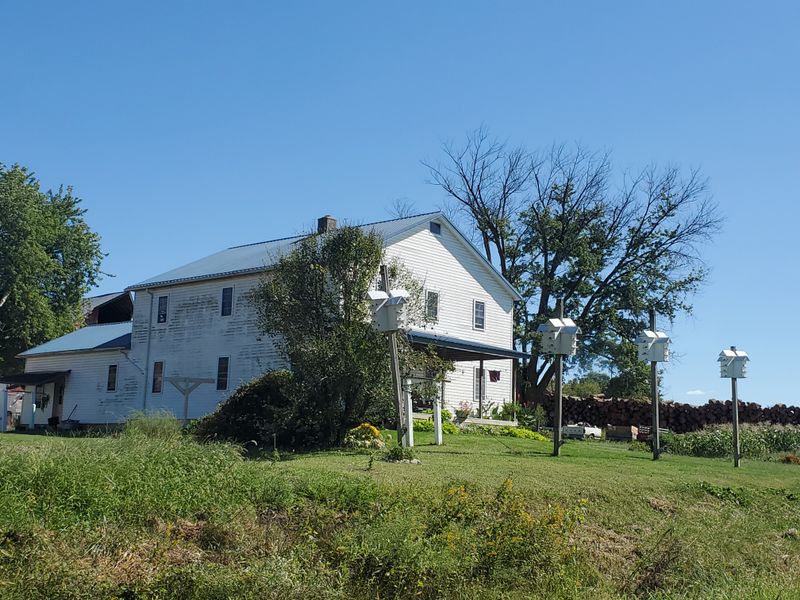 Ordnung and Church Discipline