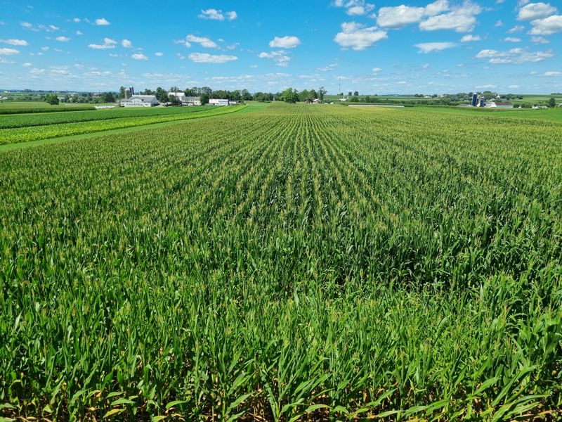 Farmland Stretches Without Billboards or Distractions