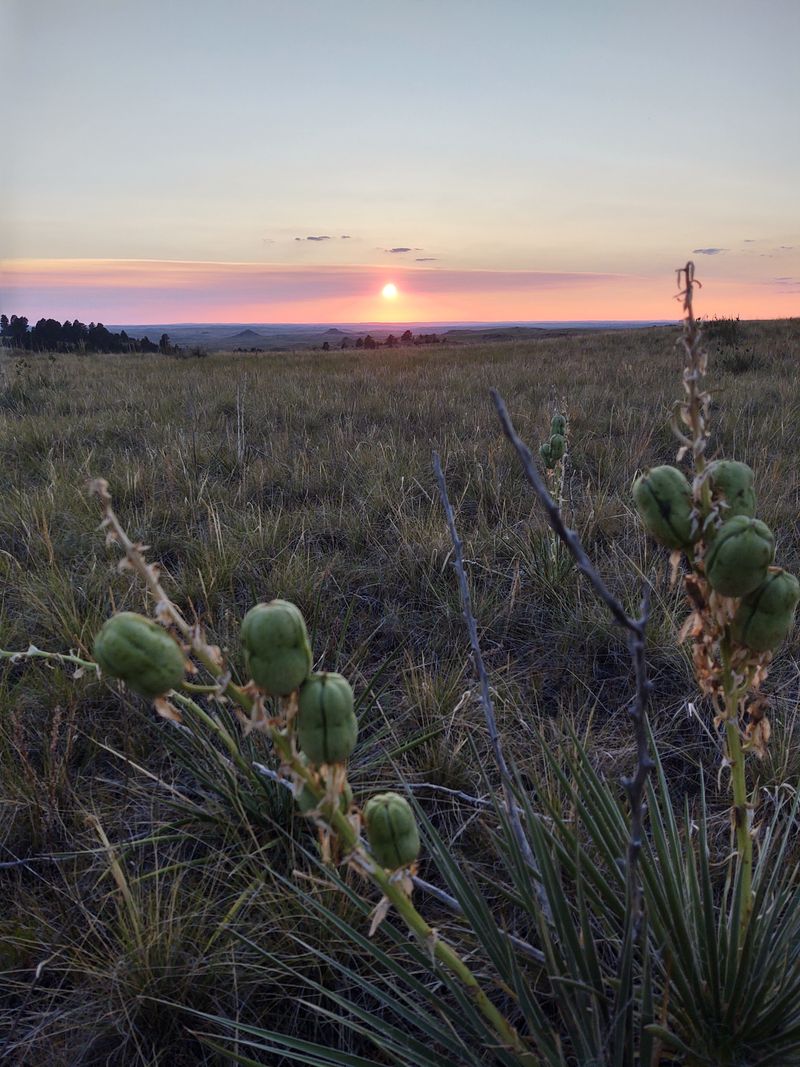 Camp Beneath Star-Filled Skies in Remote Wilderness