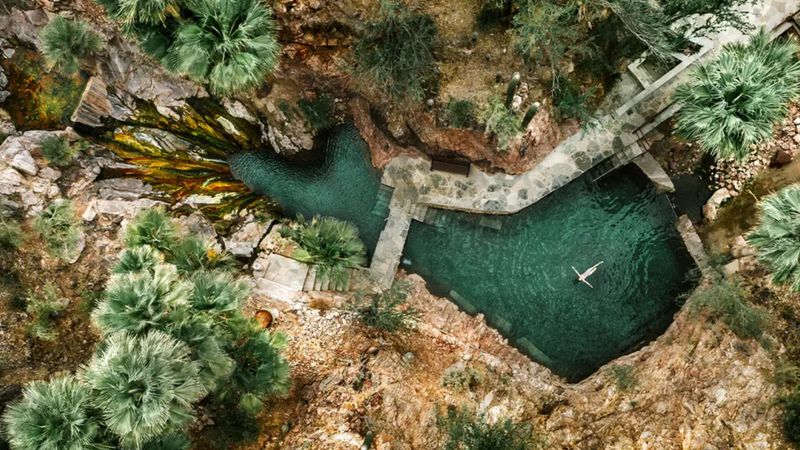 Mindfulness and Wellness Activities for Inner Peace