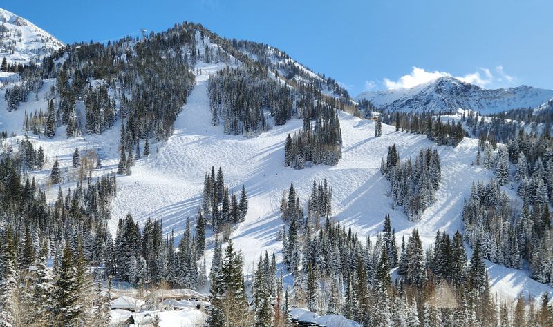 Peaceful Winter Walks And Easy Terrain