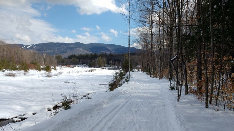 Scenic Snowshoeing at Bear Notch Ski Touring Center