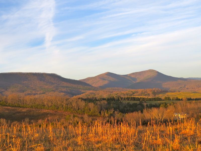 Back Road Views On The Way To Lexington