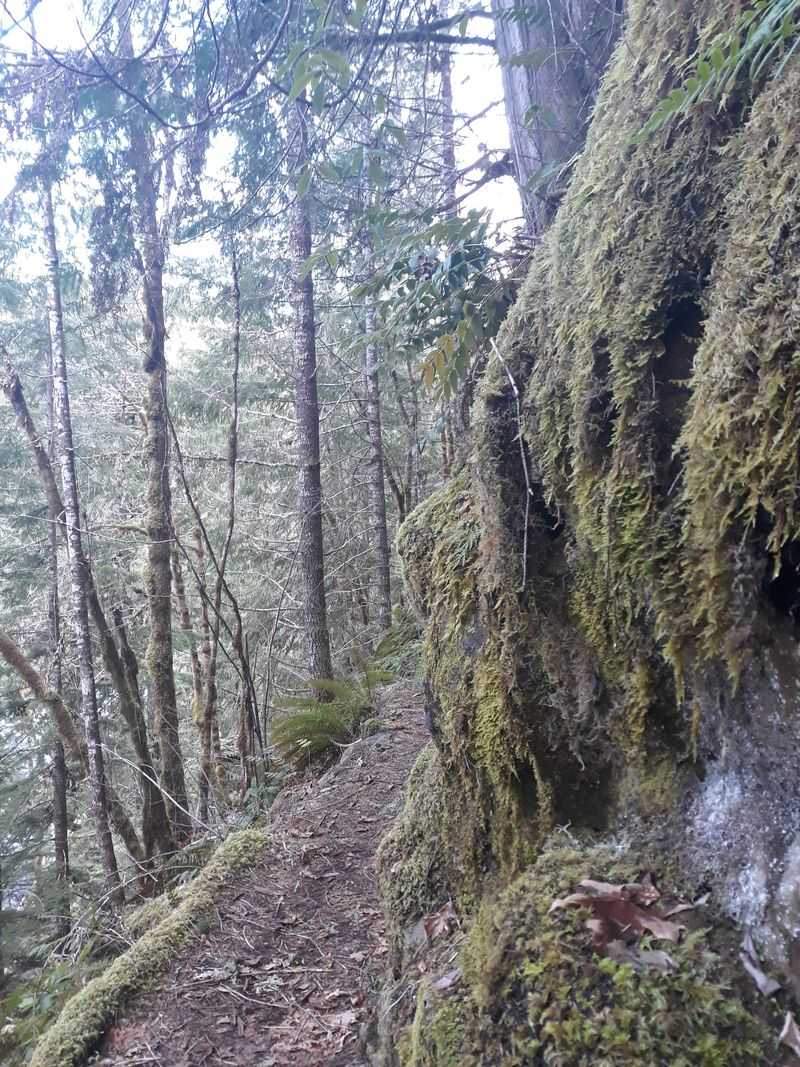 Trails That Vanish Into Wilderness