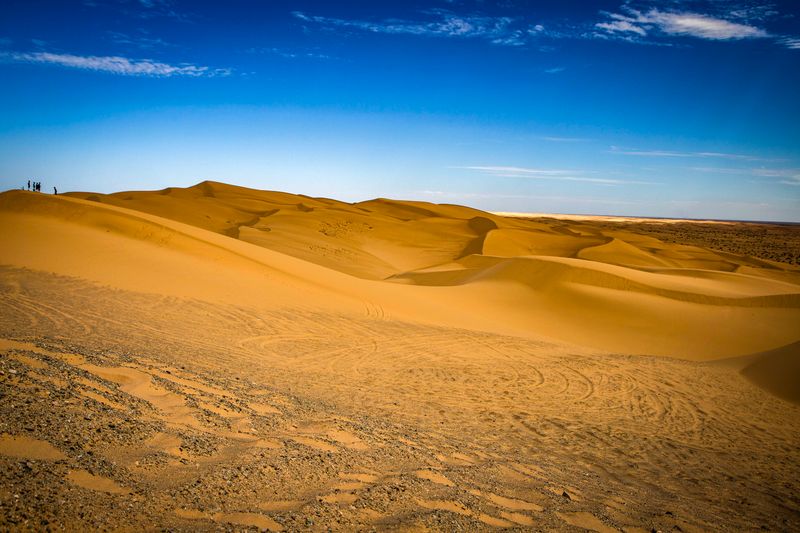 Imperial Sand Dunes Recreation Area