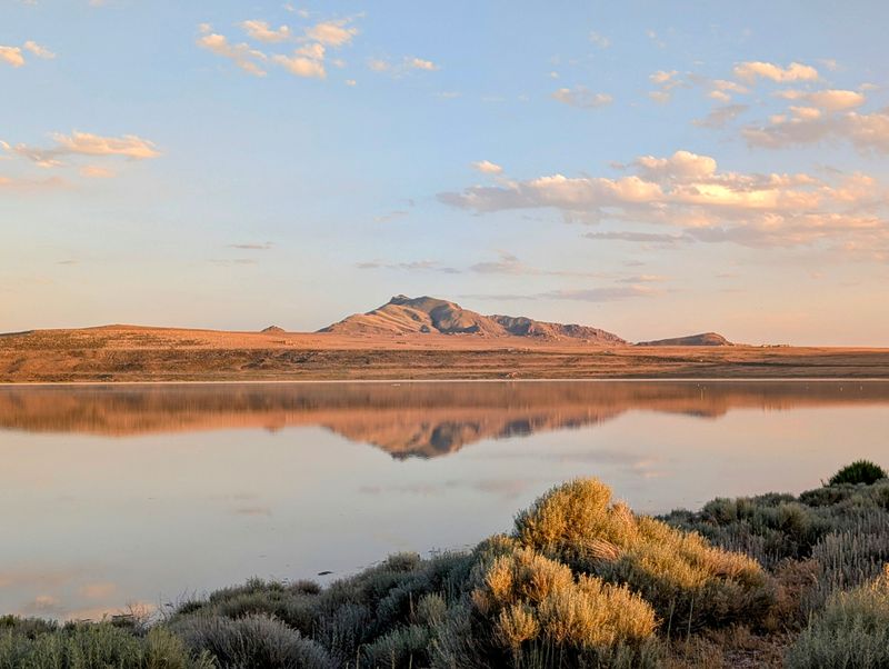 Antelope Island State Park