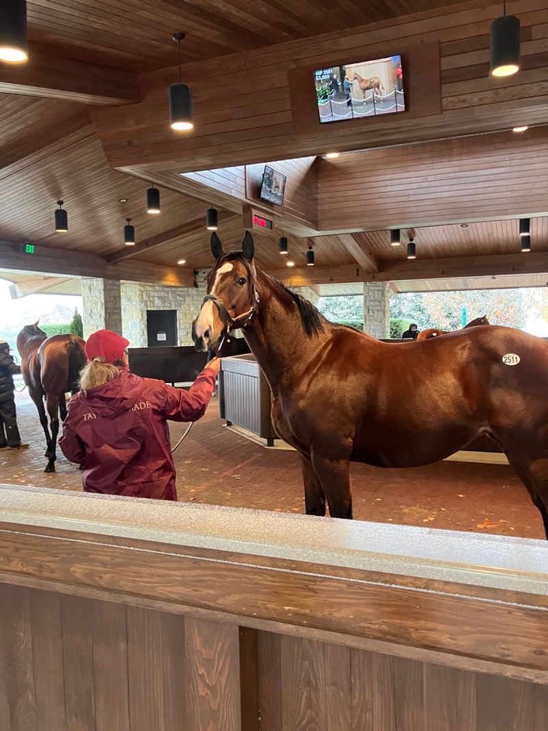 Why Barn Selfies Feel Different To Locals