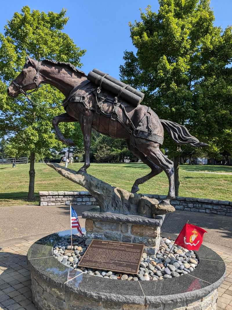 Why Cameras Are Still Welcome