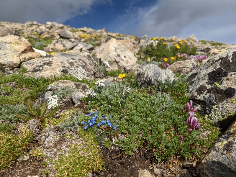 Day Hiking for Scenic Views and Fresh Air