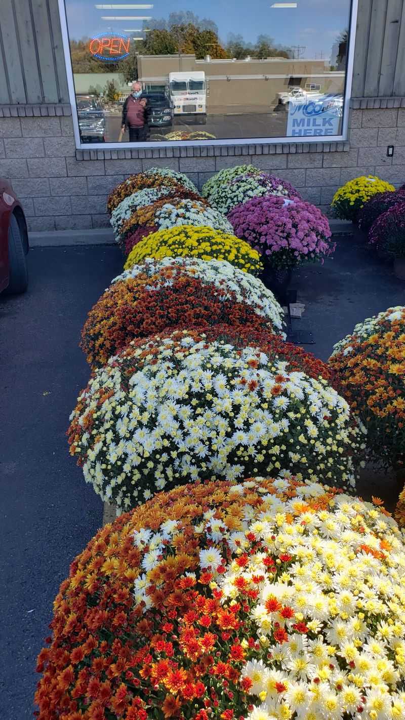 Seasonal Moments That Make Each Visit Feel Different