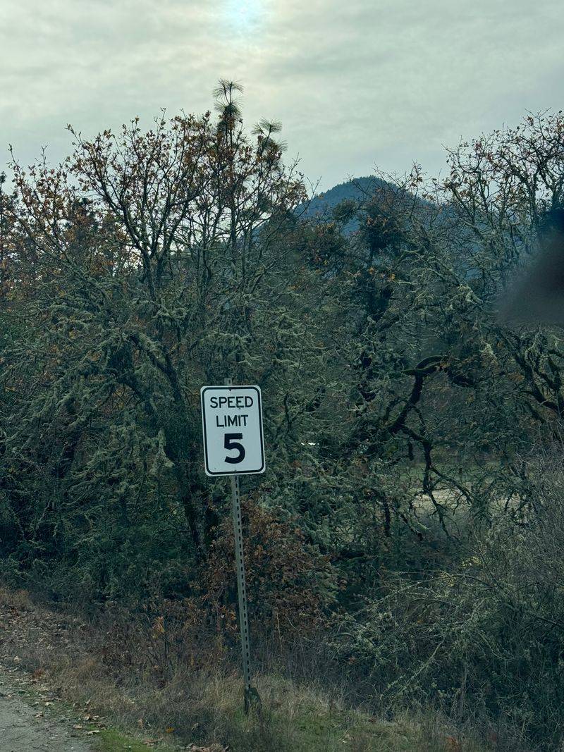 Gravity defiance or clever physics