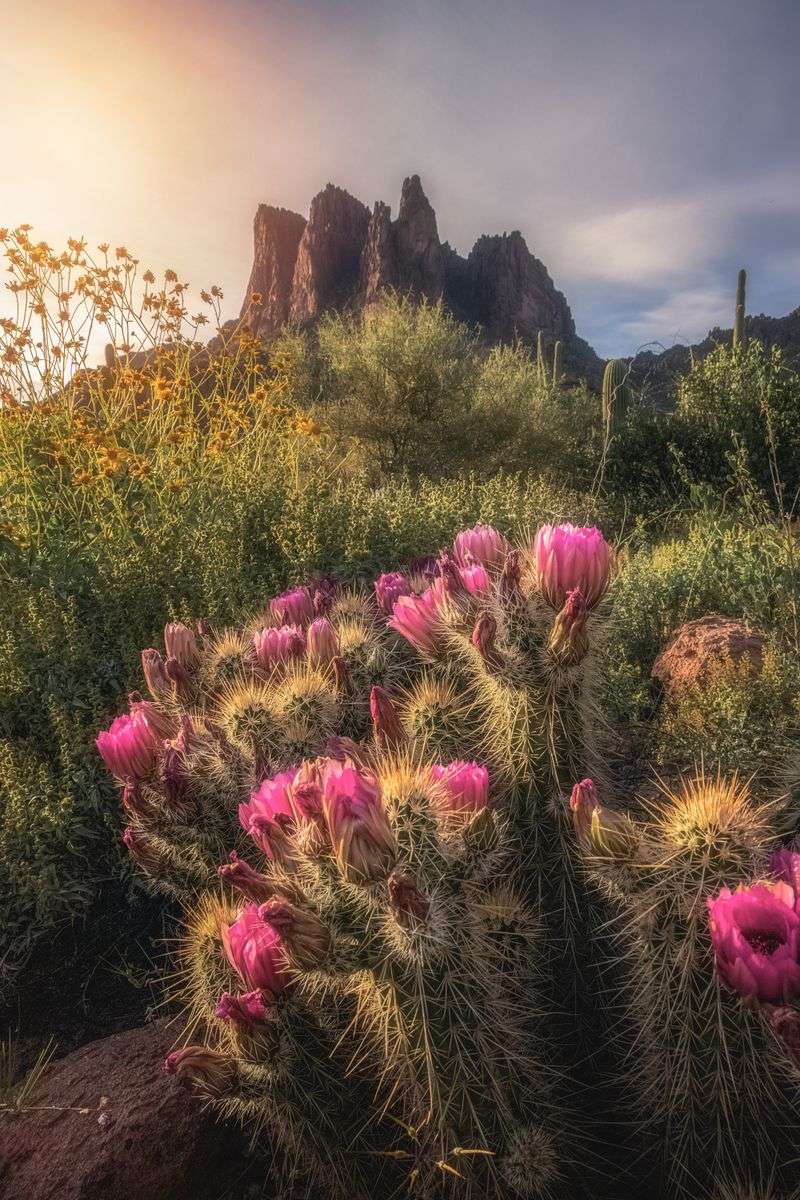 Best seasons, weather, and timing