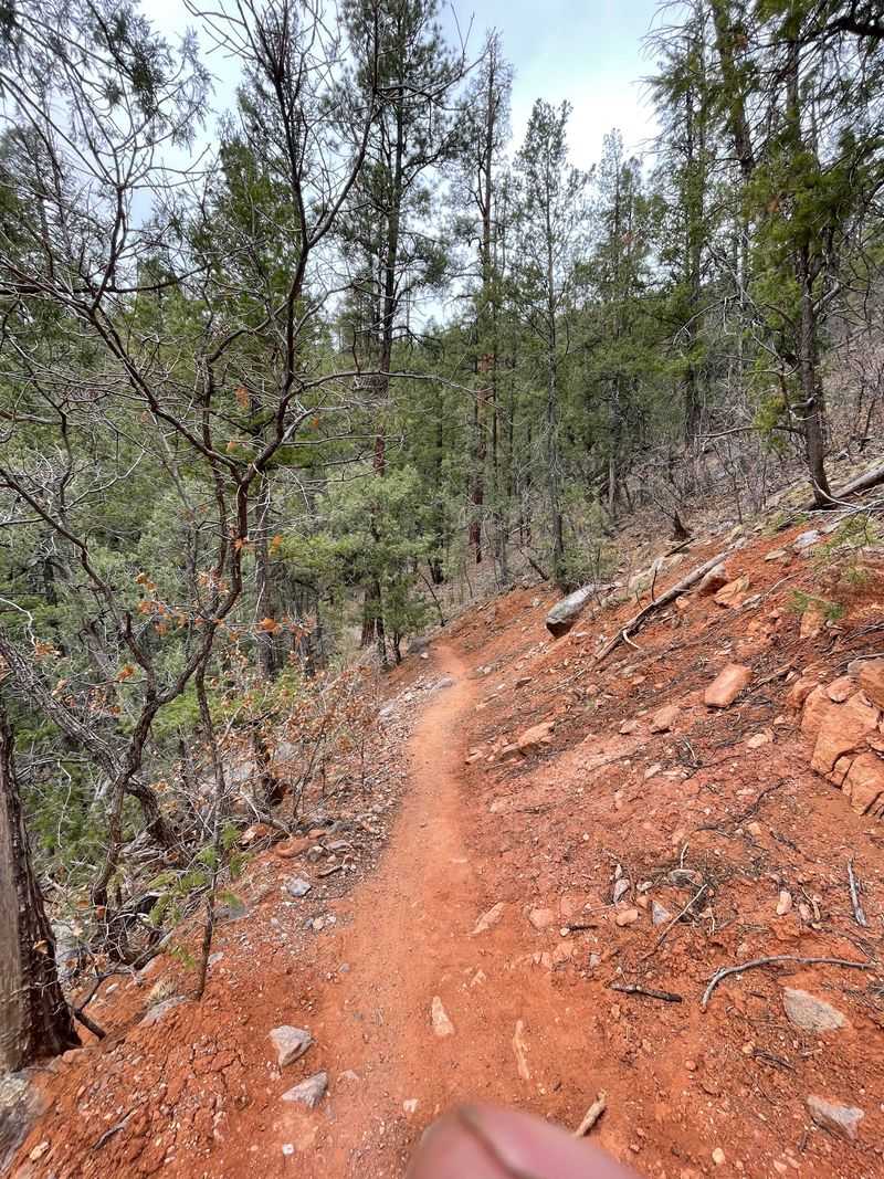 Finding the route without stress