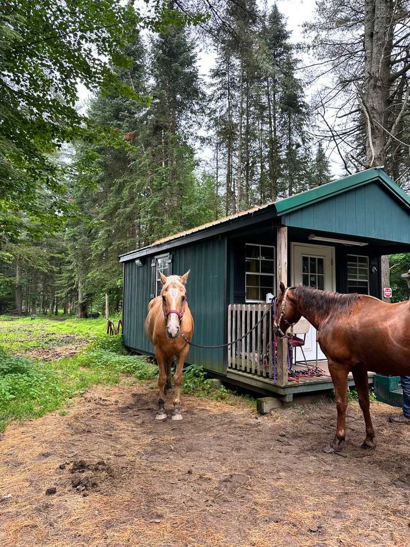 Emerald Springs Adirondack Ranch, Saranac Lake