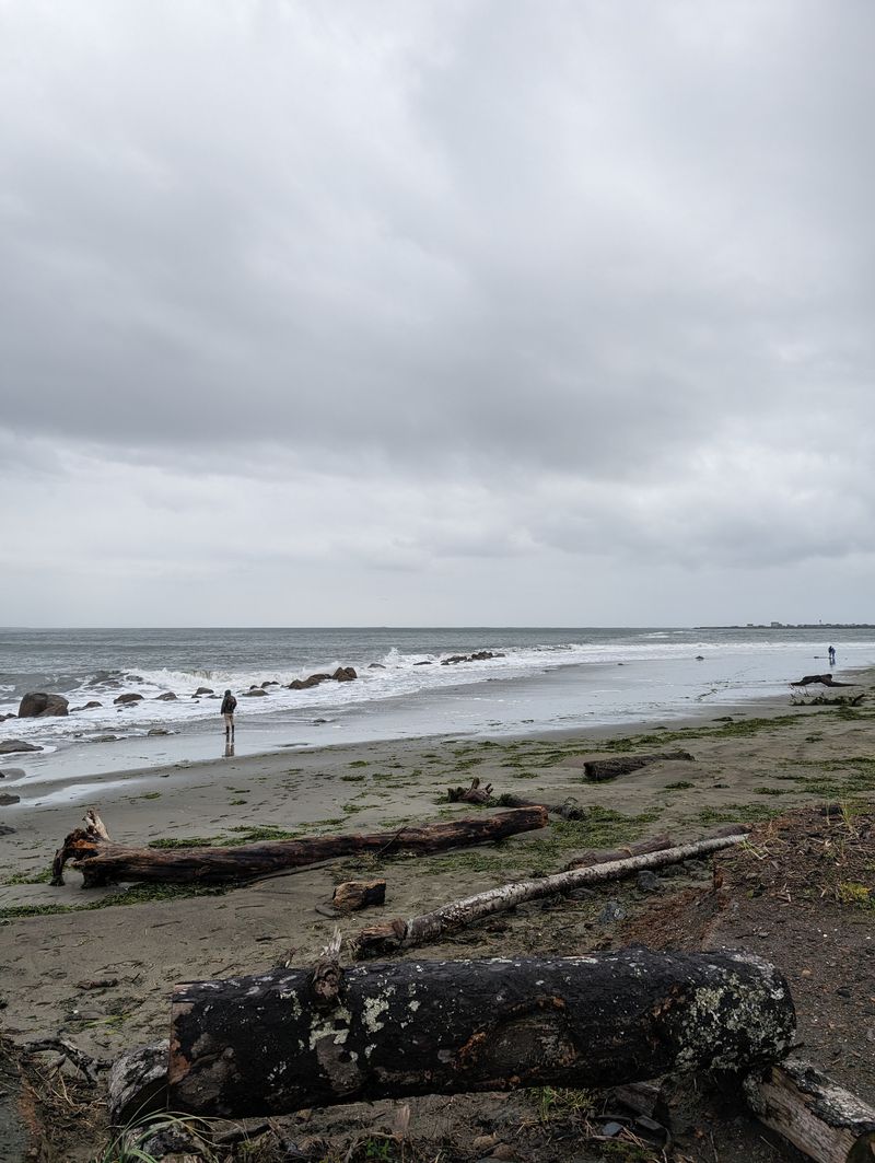 Damon Point