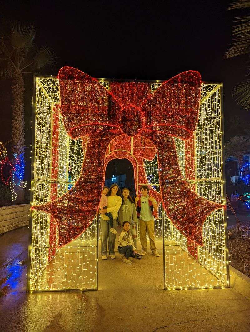 Festival of Lights along the water