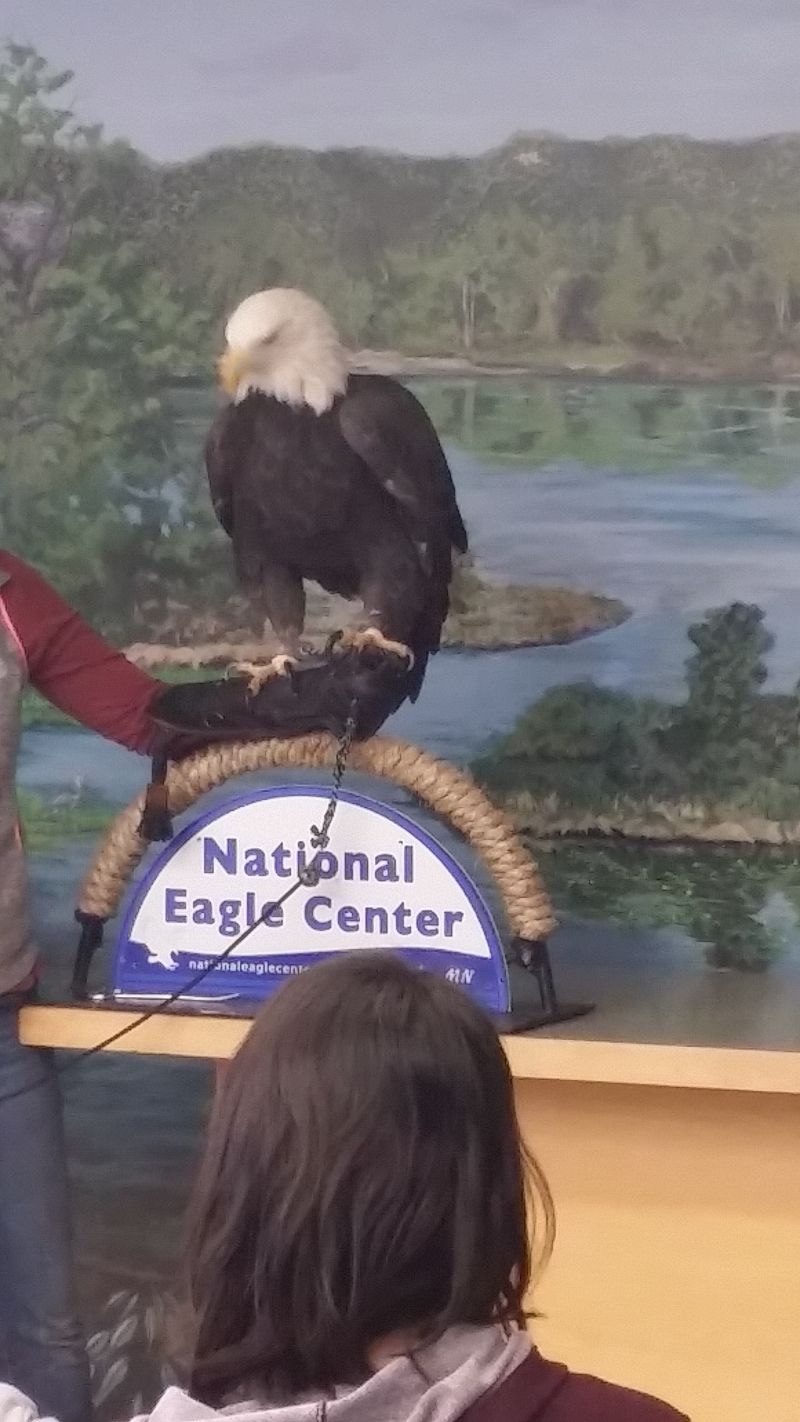 Wildlife Viewing Opportunities Abound