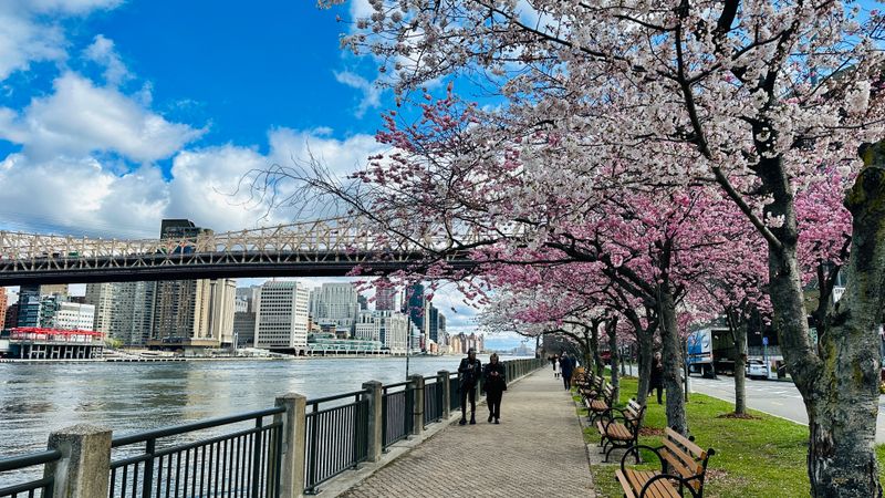 Green space is abundant if you know where to look