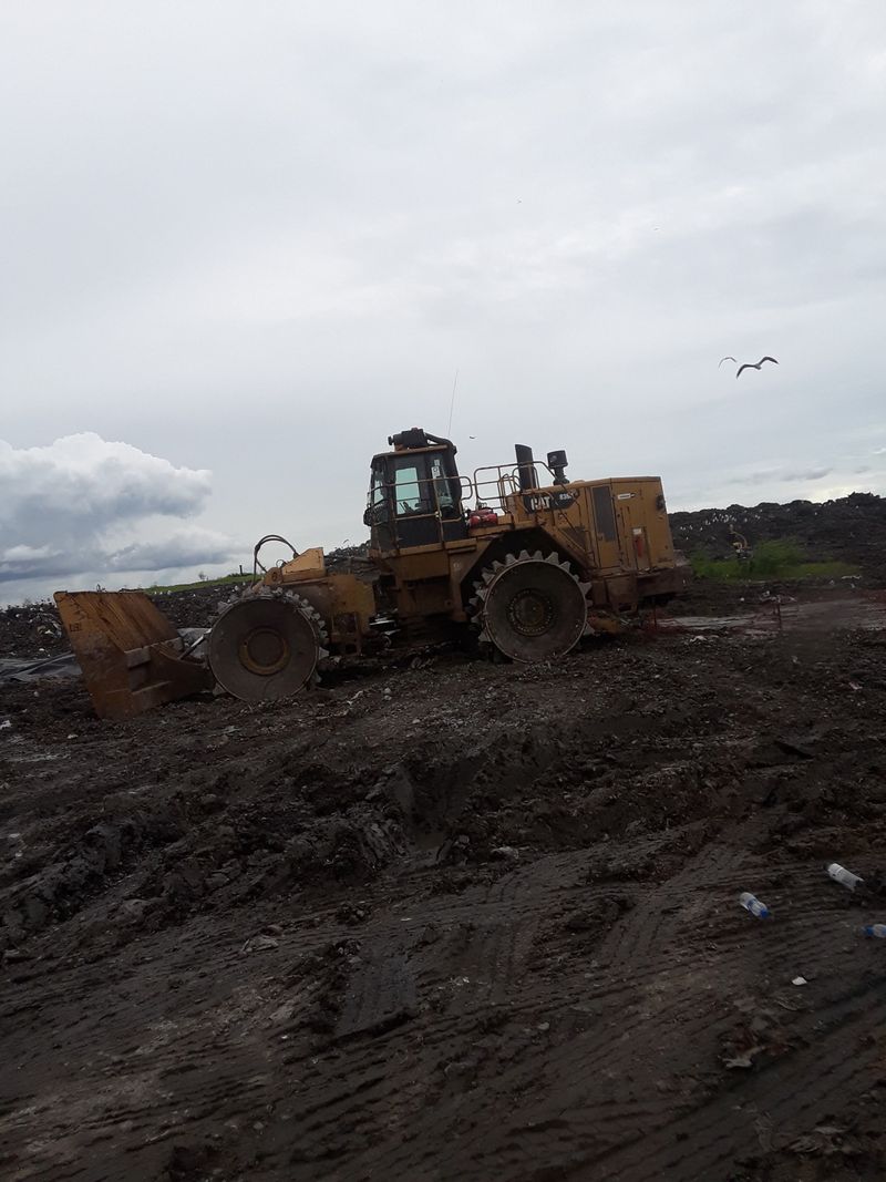Cooking Garbage for Hogs in Jefferson Parish