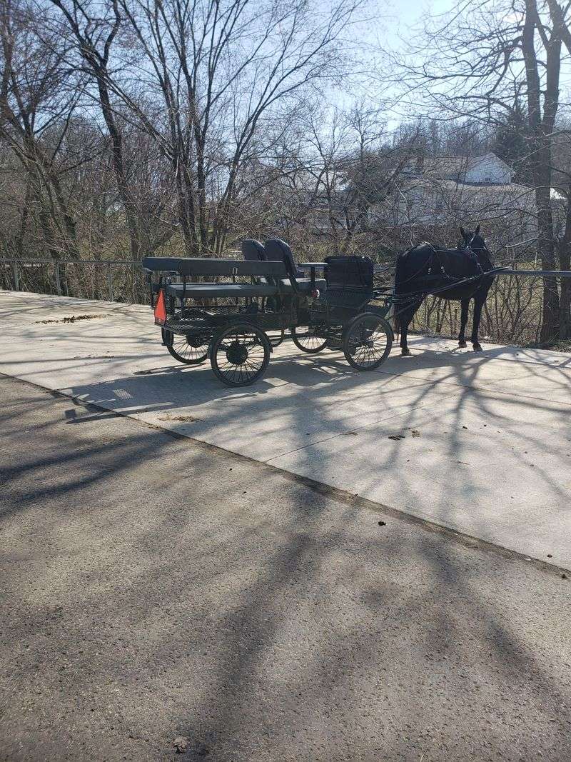 Loud Behavior and Disruptions