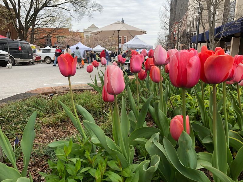 Changing Atmosphere from Community to Commerce