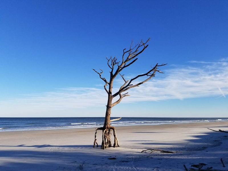 Little Talbot Island State Park, 12157 Heckscher Dr, Jacksonville, FL 32226