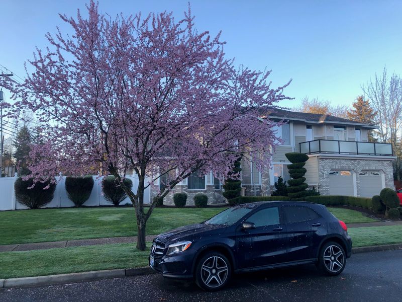 Meeting the Demand for 