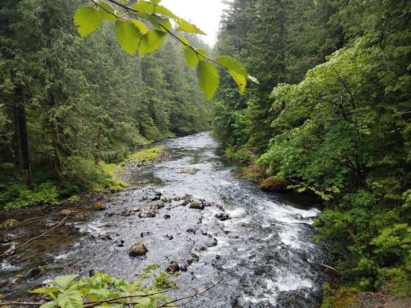 Salmon River Trail