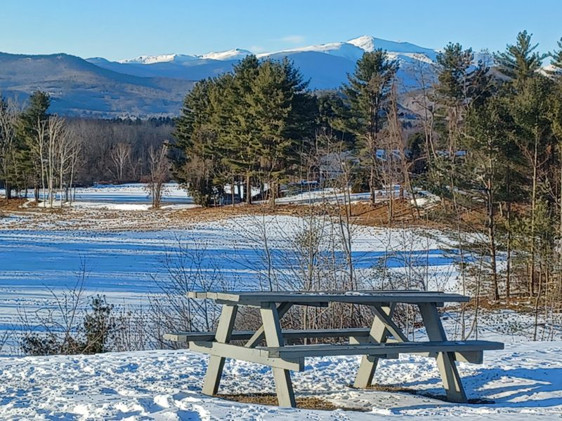 White Mountains Vista Stops