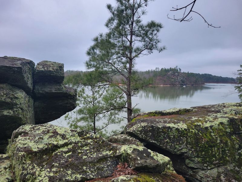 The Deadening, Cherokee Ridge Alpine Trail, 7371 Northern Rd, Dadeville, AL