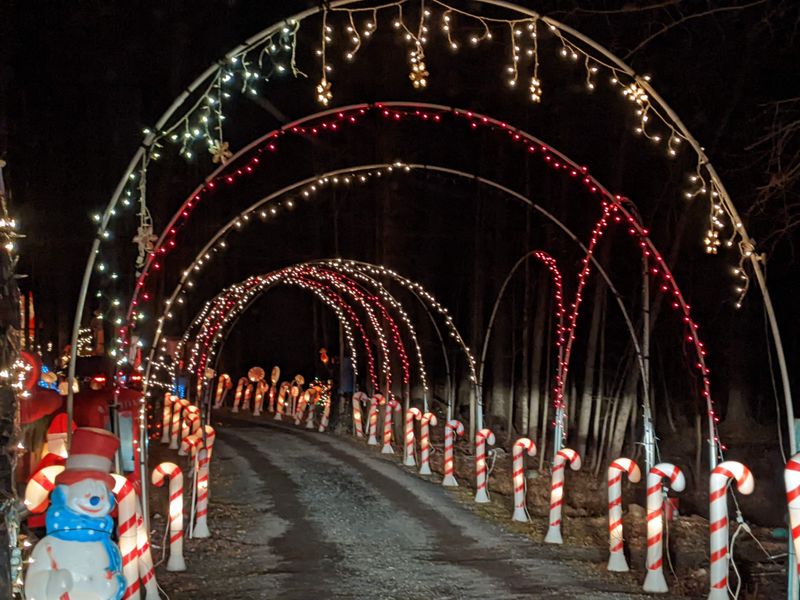 Family-Friendly Wonder for All Ages