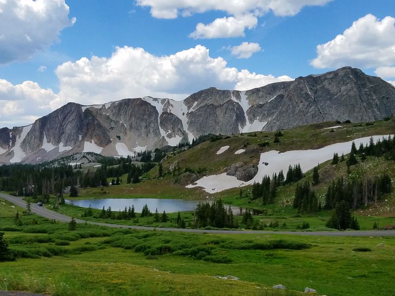 Medicine Bow-Routt National Forest