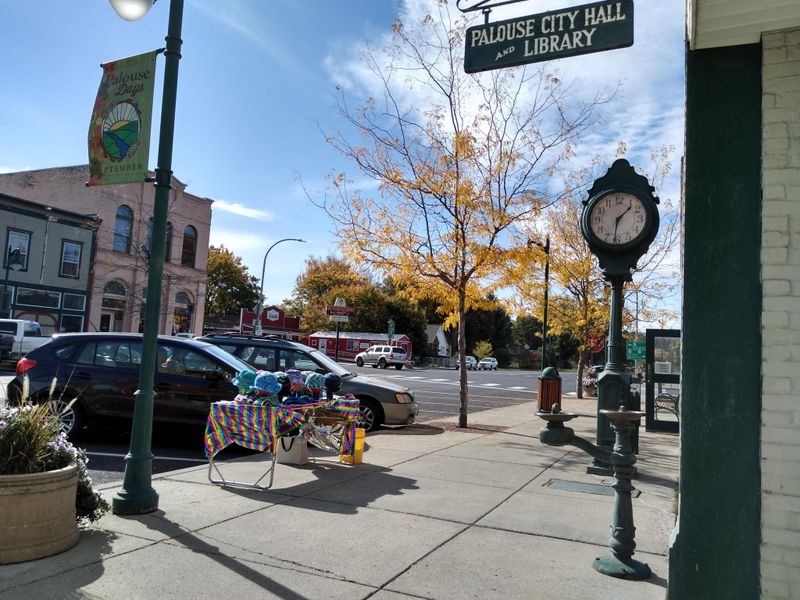 Historic Main Street in the City of Palouse