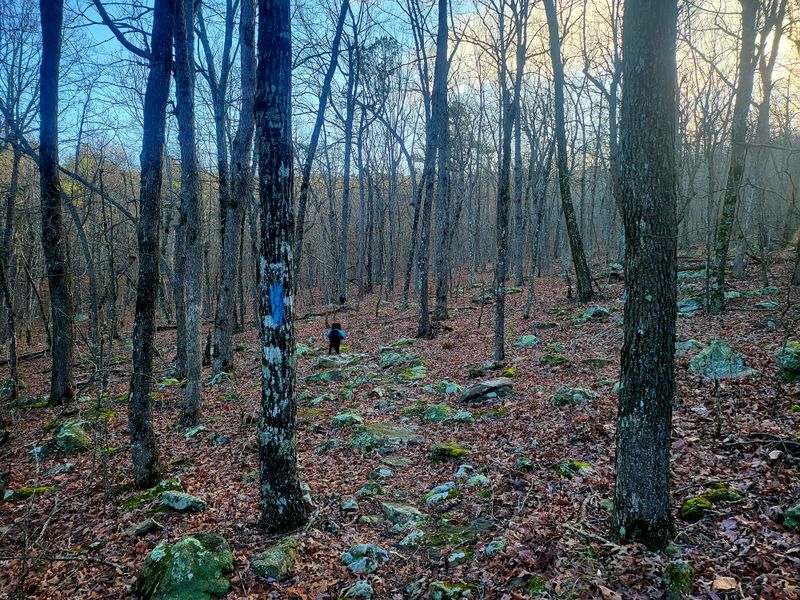 Hiking the Ouachita National Recreation Trail