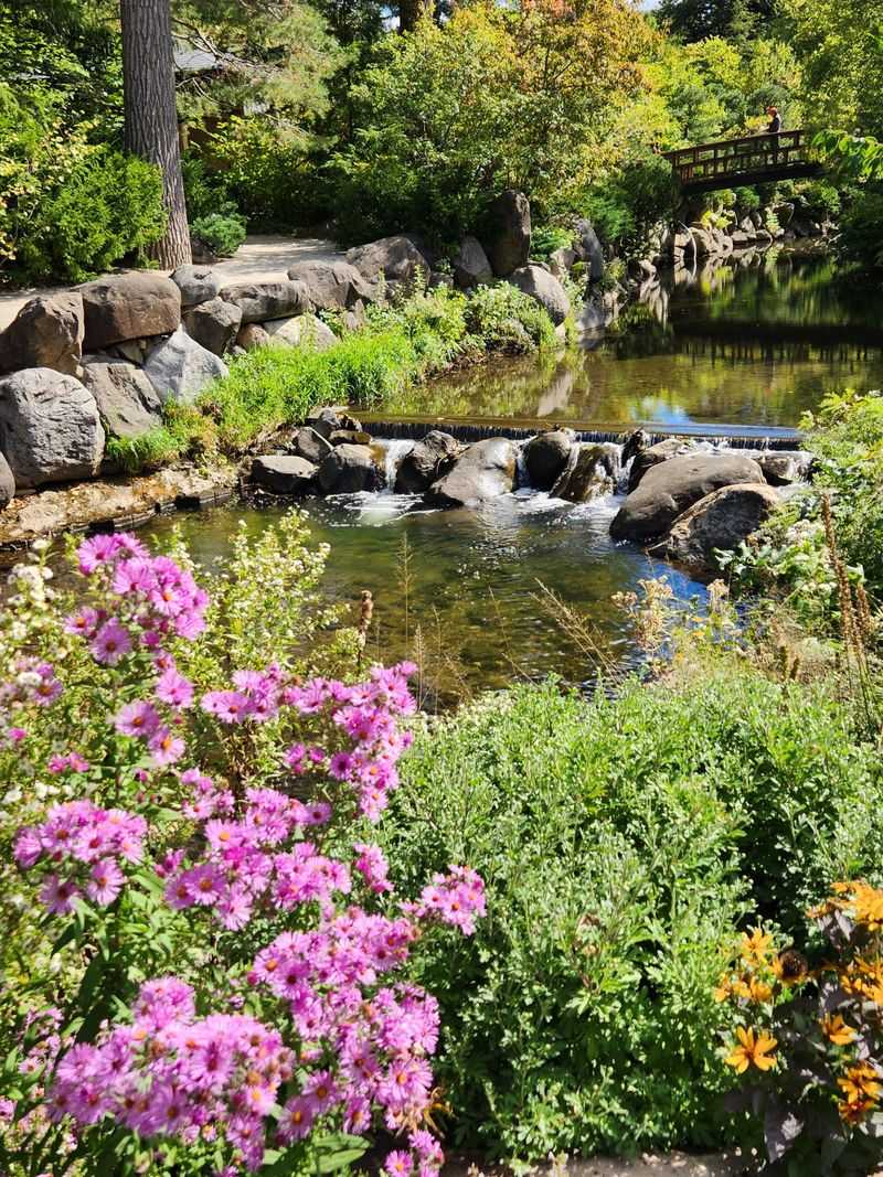 Anderson Japanese Gardens