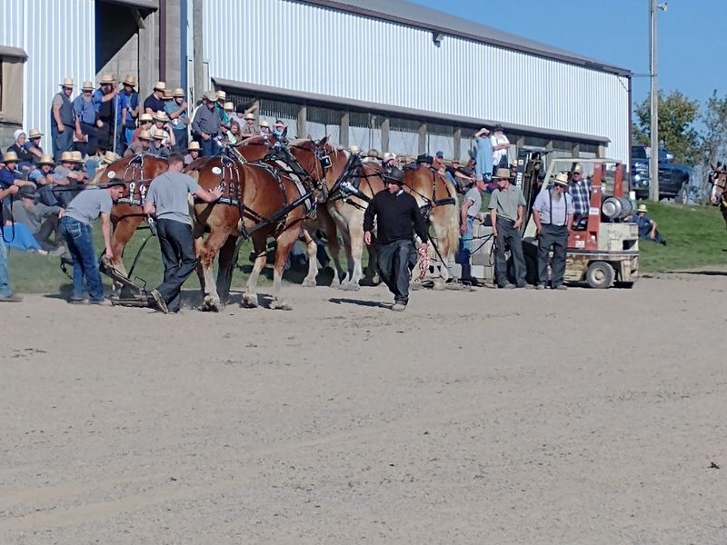 Mount Hope Livestock Traditions and Quiet Lanes