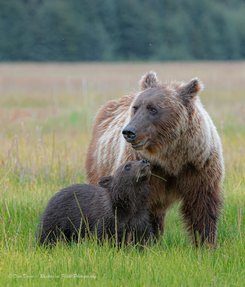 Lake Clark National Park Access Point, 4295 Aviation Ave, Anchorage, AK 99502