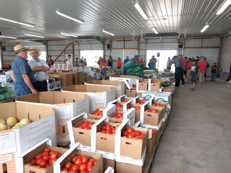 Black River Falls area produce auctions
