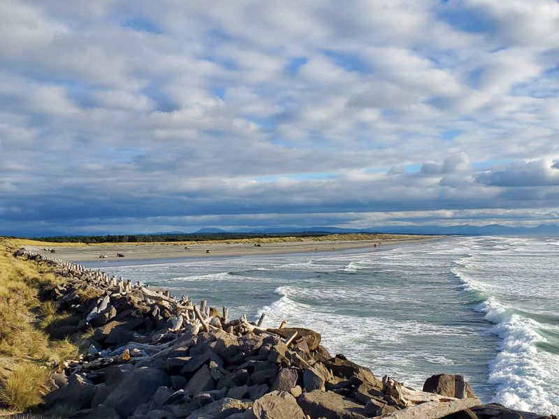 Wildlife Watching Along Wetlands And Forest Edges