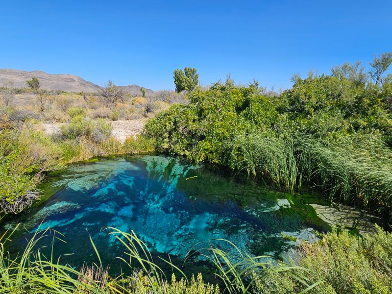 Ash Meadows National Wildlife Refuge